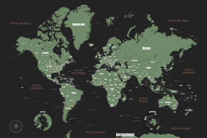 Carte du monde jungle