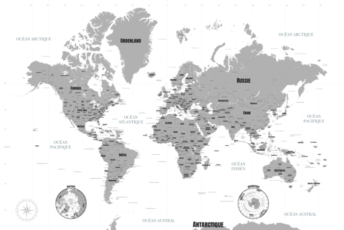 Carte du monde blanche et grise