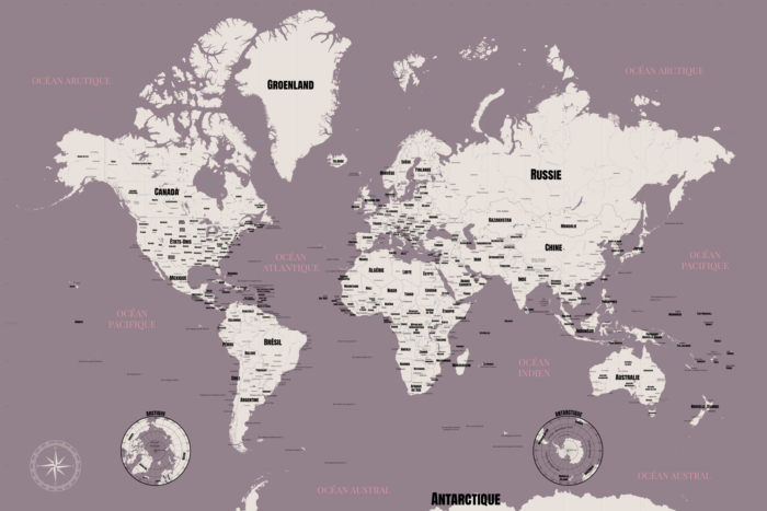 Carte du monde couleur parme