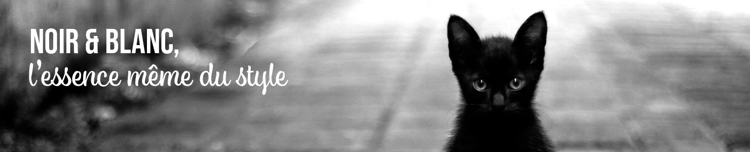 Noir et Blanc, l'essence même du style Bannières affiches en Noir et Blanc - Image d'un chaton noir avec slogan : Noir et blanc, l'essence même du style
