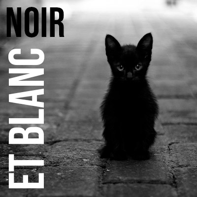 Carte du monde murale déco